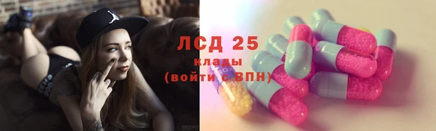 ПСИЛОЦИБИНОВЫЕ ГРИБЫ Абдулино