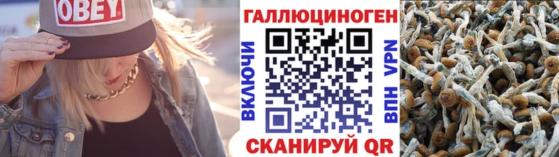 Псилоцибиновые грибы прущие грибы  дарнет шоп  Ангарск 